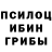 Галлюциногенные грибы GOLDEN TEACHER Ezhikhe
