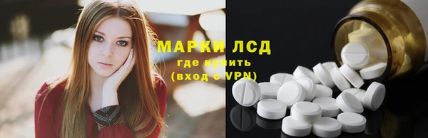 крисы Алзамай