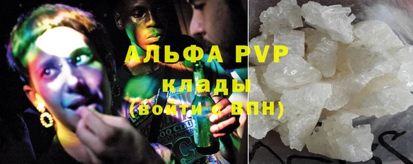 крисы Алзамай