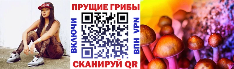 где купить наркоту  блэк спрут маркетплейс  Галлюциногенные грибы ЛСД  Катав-Ивановск 