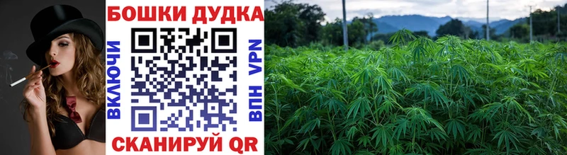 Шишки марихуана OG Kush  Катав-Ивановск 